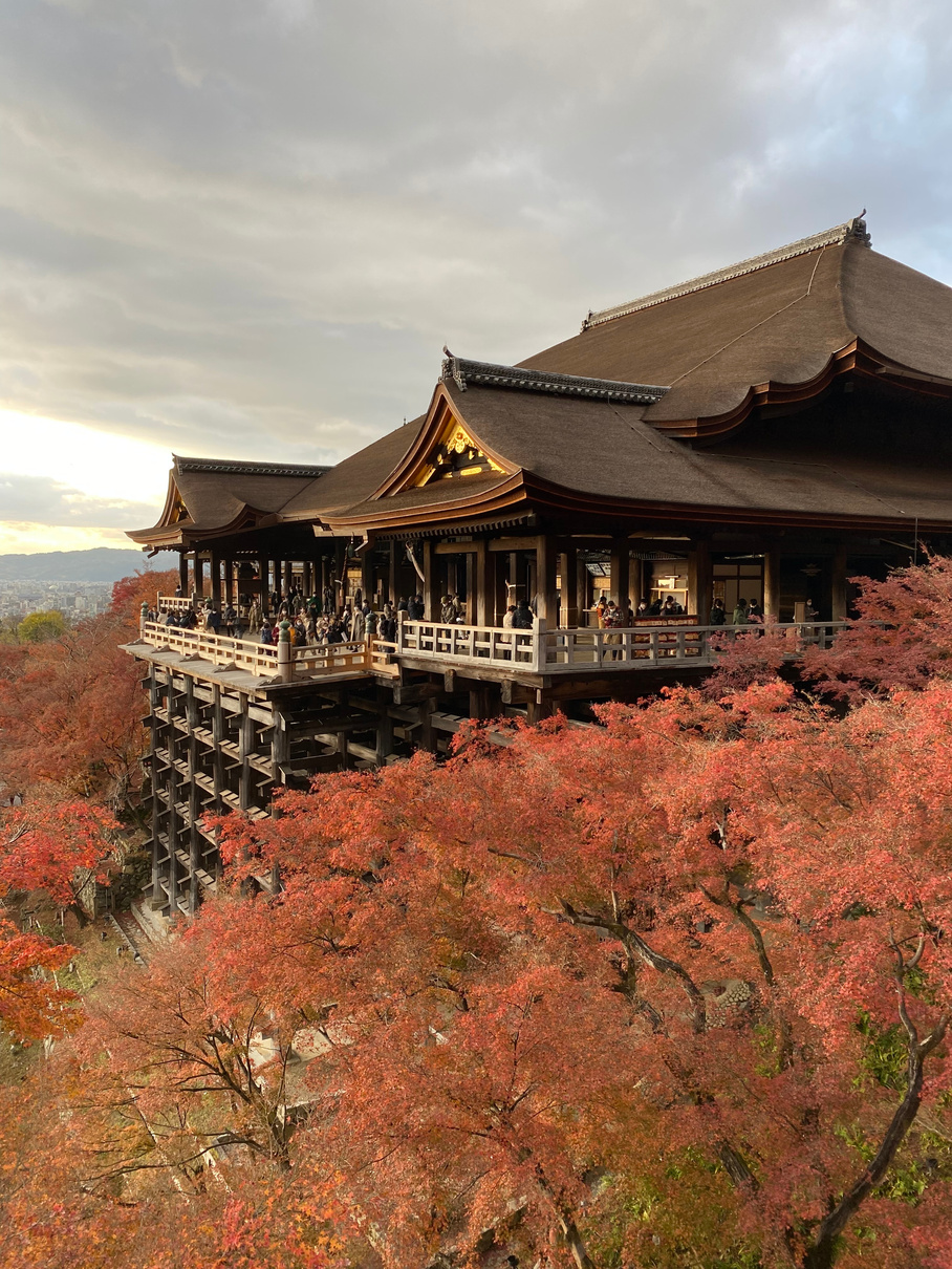 The Stage of Kiyomizu Among the Trees, Kyoto, Japan